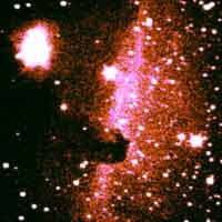 Horse Head dark nebula in Orion