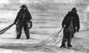 Возможность совершения прыжков с парашютом на дрейфующий лед Центрального Полярного бассейна доказана советскими парашютистами мастером спорта А. П. Медведевым и врачом В. Г. Воловичем. 9 мая 1949 г