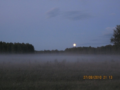 Вечерний туман в лунном сиянии