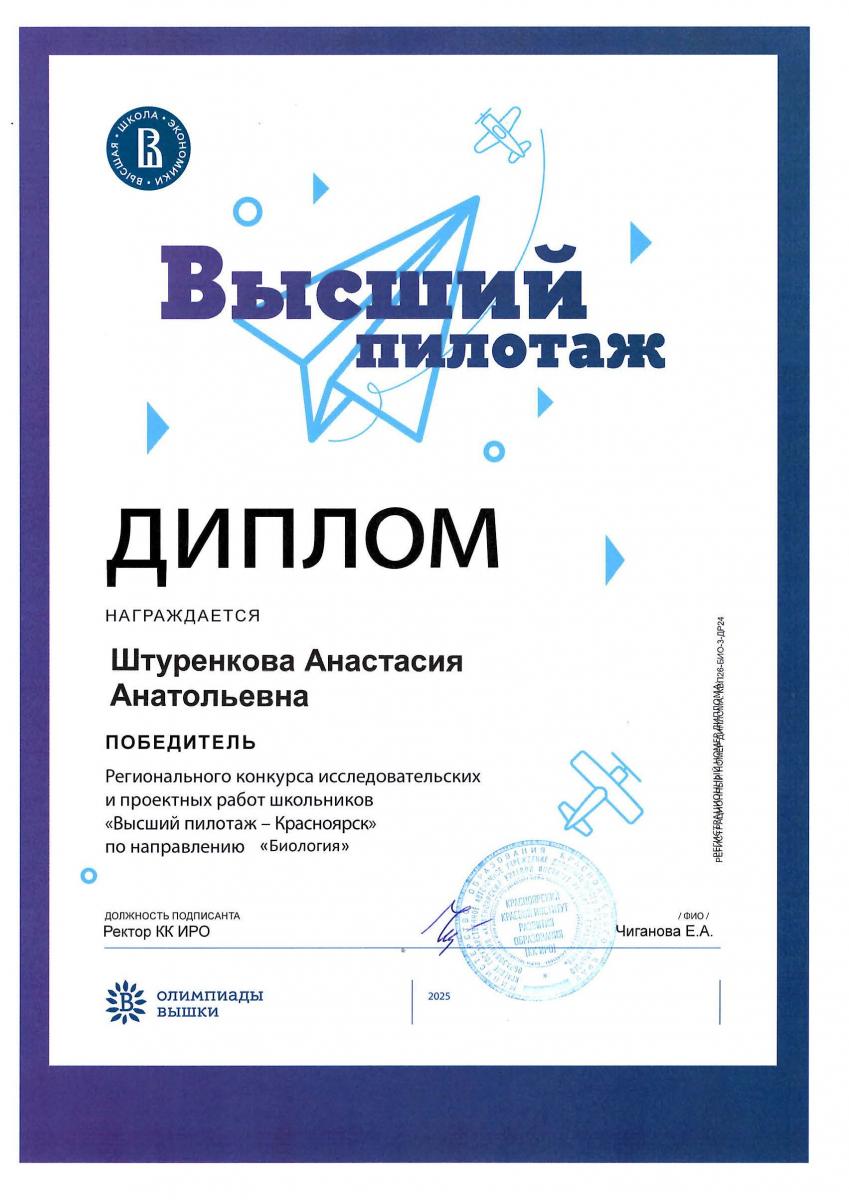 Штуренкова Высший-пилотаж