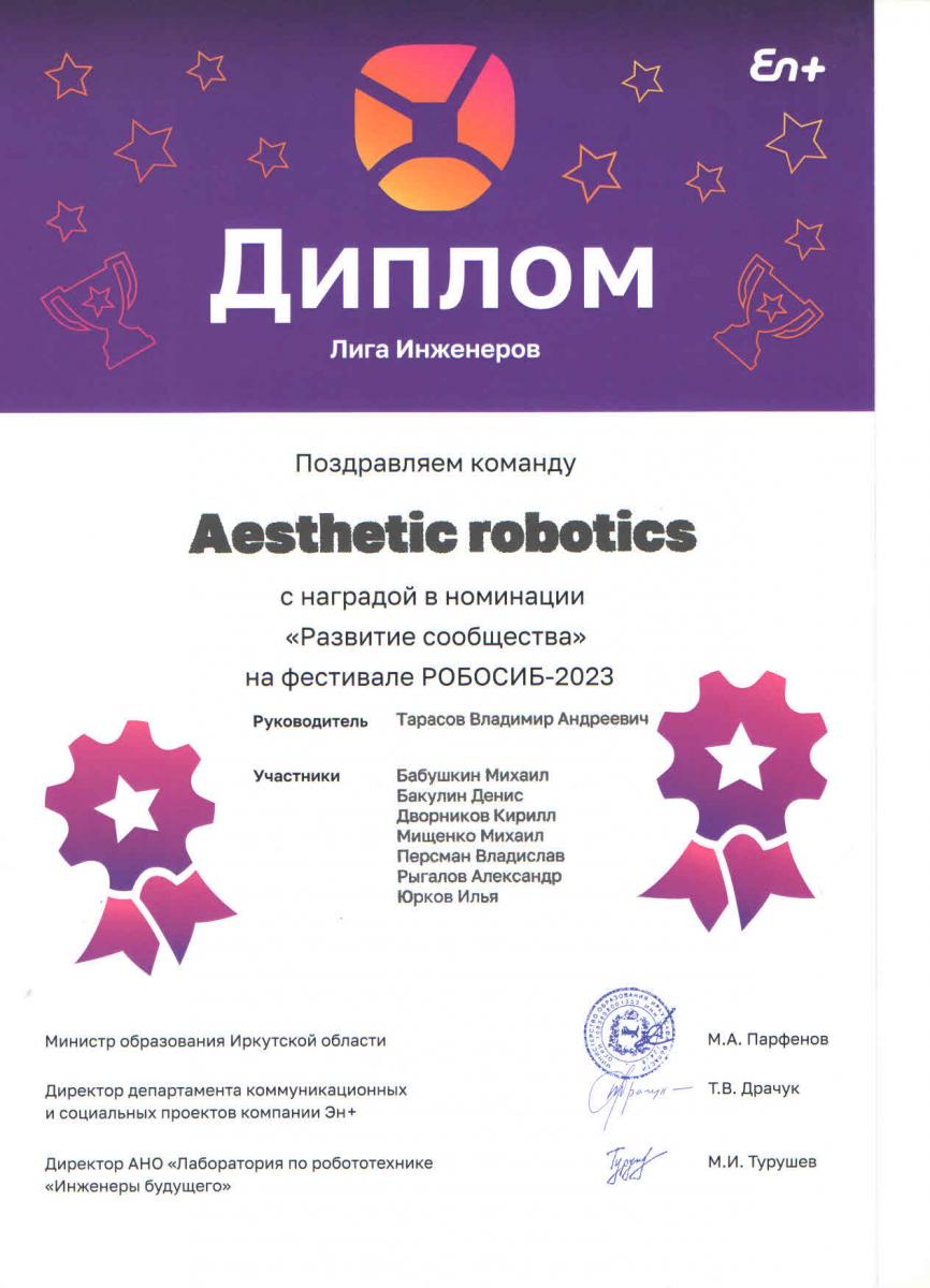 Диплом Aestetic-Robotics